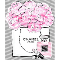 Brand Catalog-ZX 246